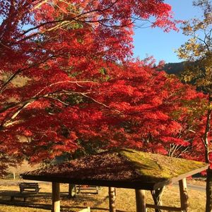 奥矢作湖 8枚目
