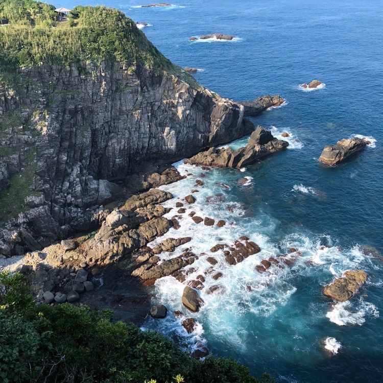 Moonさんが投稿したあしずり温泉郷　足摺パシフィックホテル花椿に関する口コミの画像