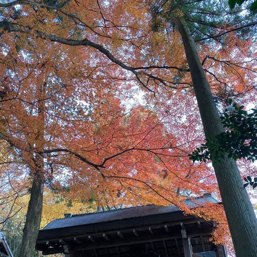 I love KOBE さんが投稿した有馬温泉　瑞宝園に関する口コミの画像