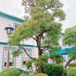 倉敷アイビースクエア（IVY SQUARE）