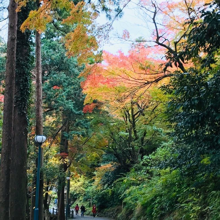 あきさんが投稿したこおろぎ楼（こおろぎろう）に関する口コミの画像