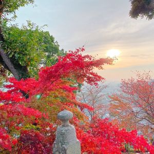 阿智神社 8枚目