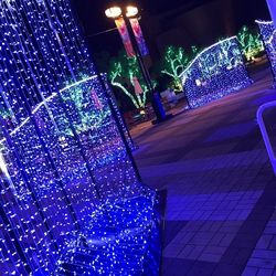 海遊館でデートをしよう 2人の距離がぐっと近づくおすすめプラン Aumo アウモ