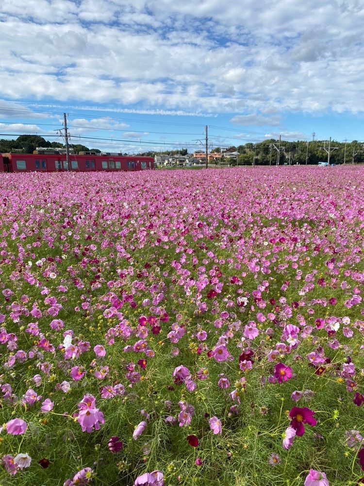 令和 Nin1000さんが投稿した竹村駅に関する口コミの画像