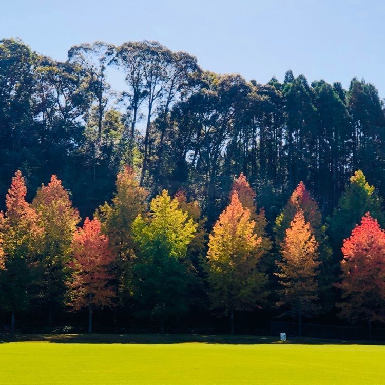 ユリユリさんが投稿したかぐや姫の里竹林公園に関する口コミの画像