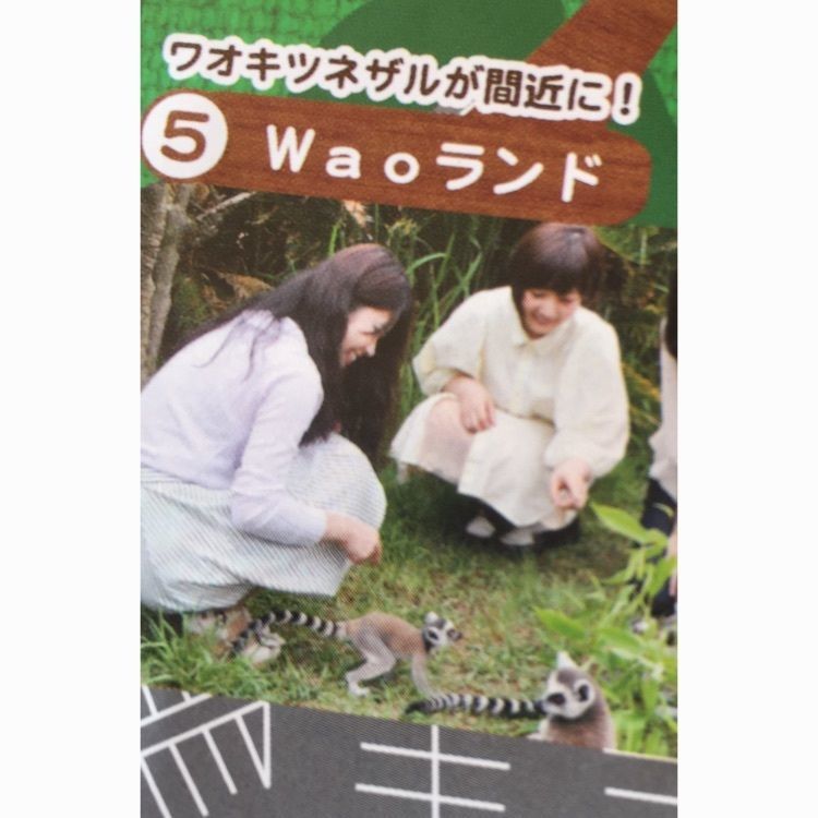 Annashuna0830さんが投稿した日本モンキーセンターに関する口コミの画像