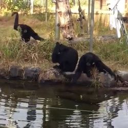 動物園なら愛知 無料で入れる動物ふれあいスポットも紹介 Aumo アウモ