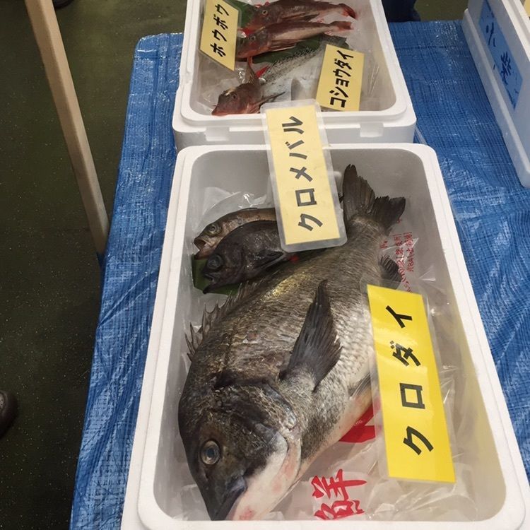 たま(^.^)さんが投稿した横浜魚市場卸協同組合 厚生食堂に関する口コミの画像