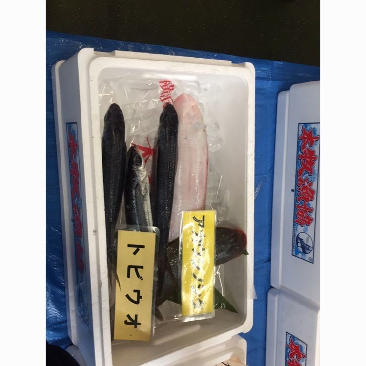 たま(^.^)さんが投稿した横浜魚市場卸協同組合 厚生食堂に関する口コミの画像