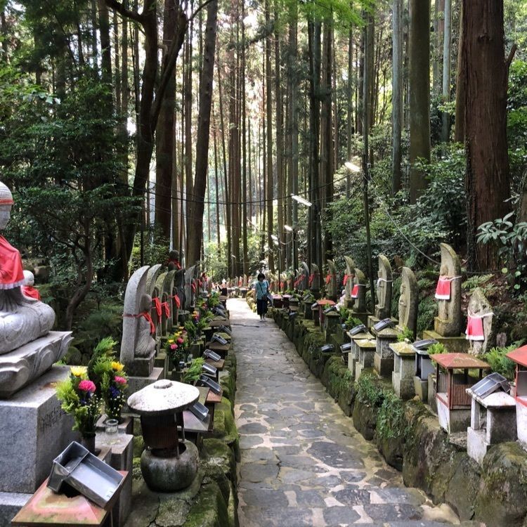 Adachi Big Papaさんが投稿した宝山寺 茶所に関する口コミの画像
