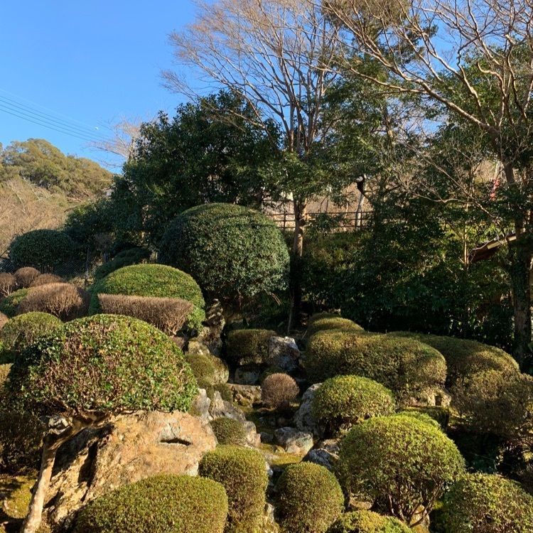 Fumieさんが投稿した佐川町立青山文庫に関する口コミの画像