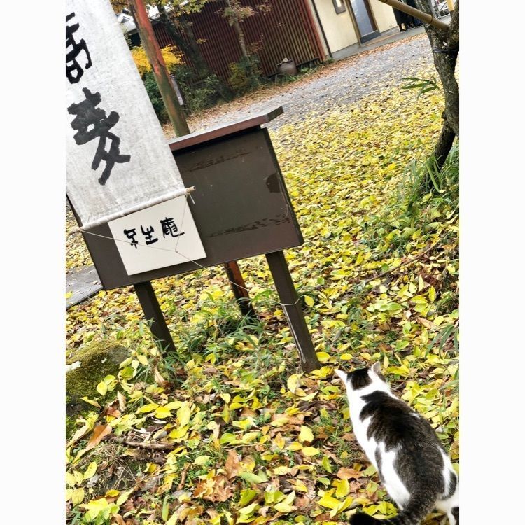 ま̤̮き̤̮さんが投稿した由布院空想の森artegioに関する口コミの画像