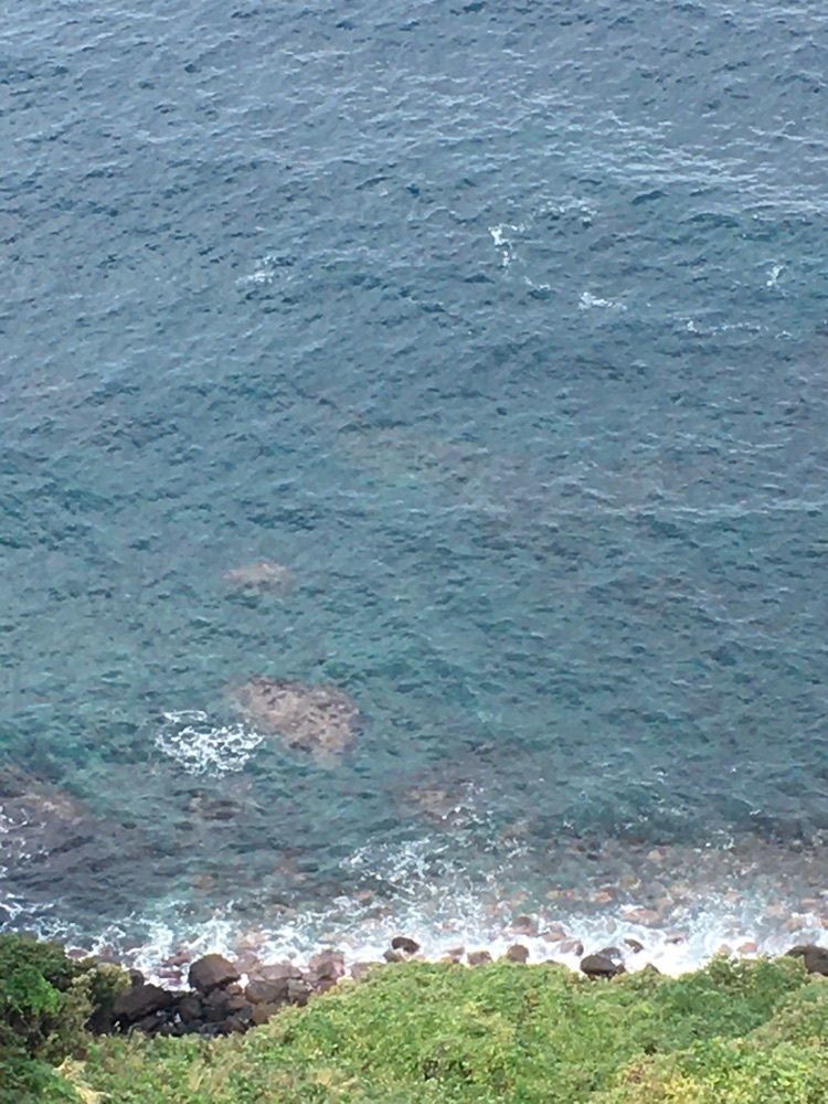 yoshiさんが投稿した天空の岬マリンパーク多古鼻に関する口コミの画像