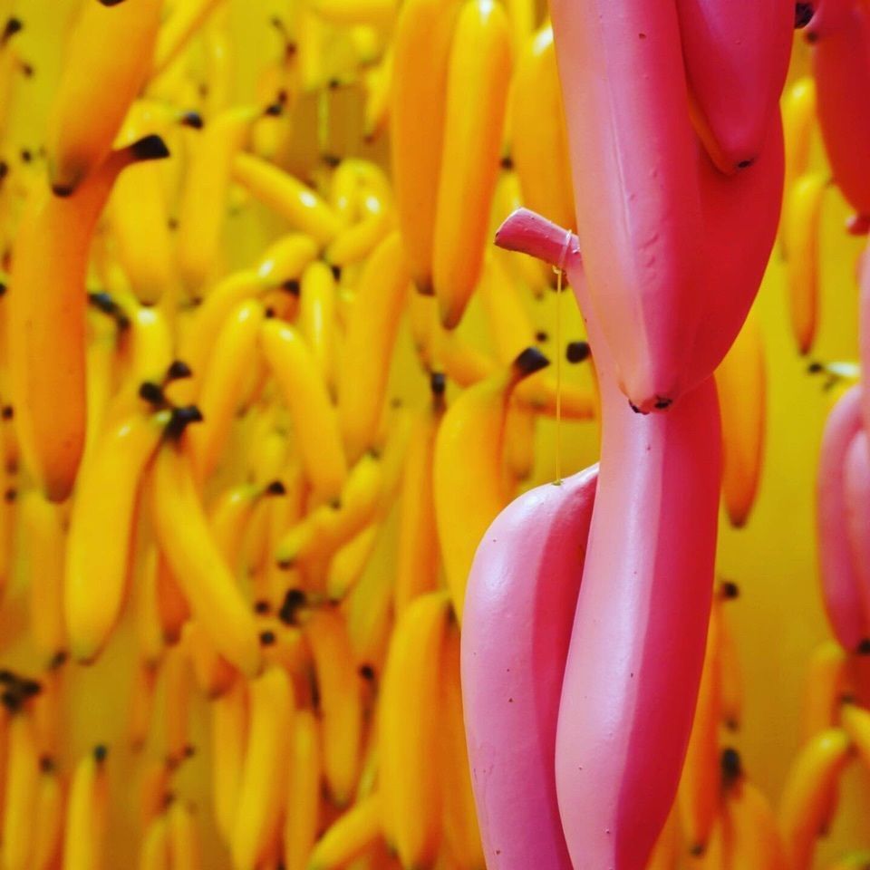 urban_garden_243aさんが投稿したPAPEPO MUSEUMに関する口コミの画像