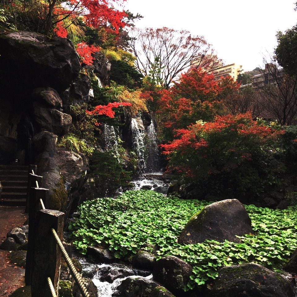 yoshiさんが投稿した画像の画像