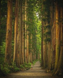 戸隠神社