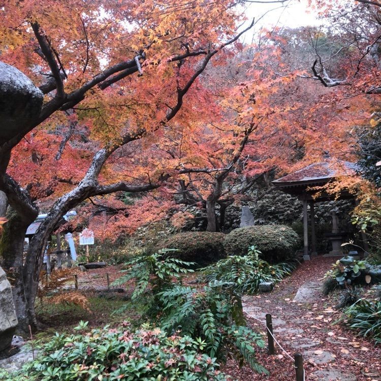 MASAさんが投稿した月山寺に関する口コミの画像