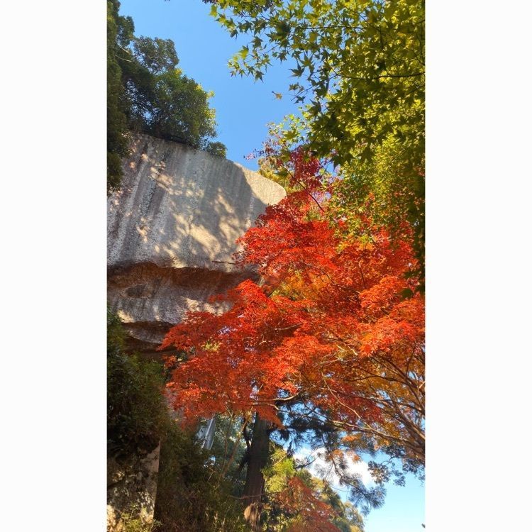 nishi248mineさんが投稿した笠置山自然公園に関する口コミの画像