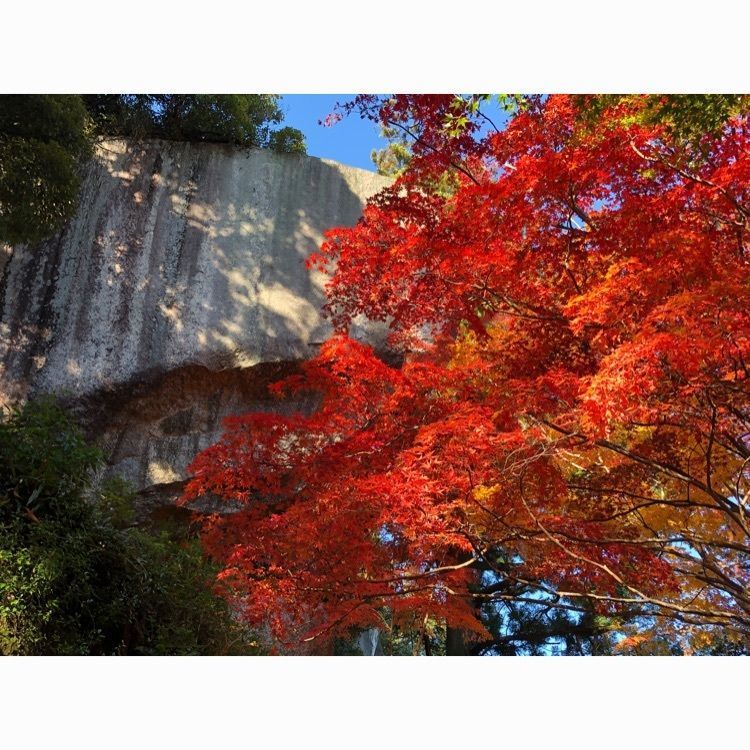 nishi248mineさんが投稿した笠置山自然公園に関する口コミの画像