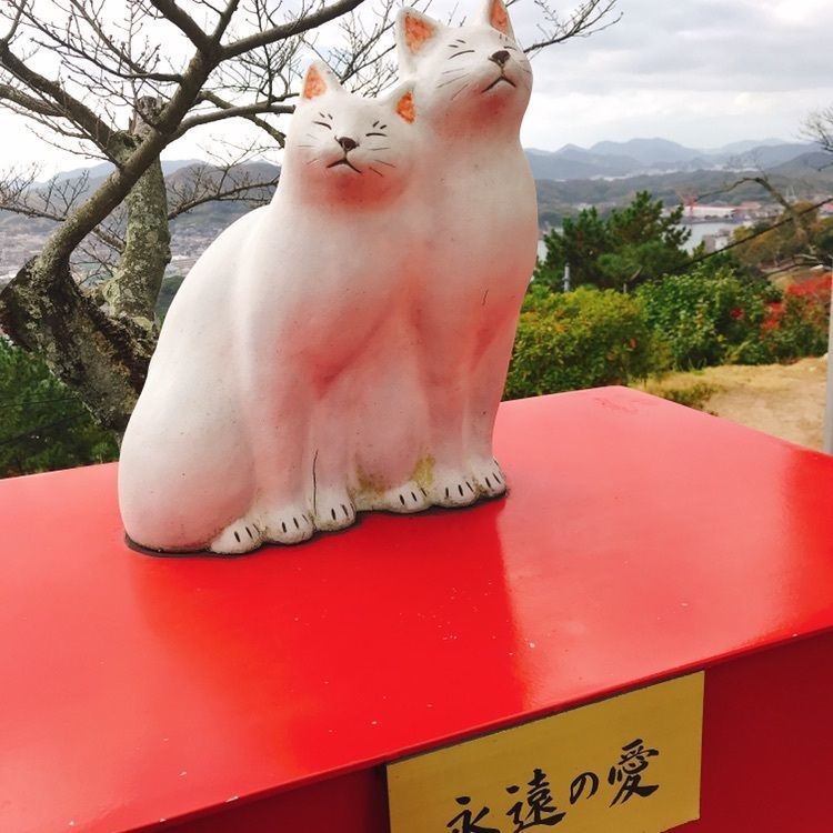 ひーちゃんさんが投稿した千光寺公園頂上売店に関する口コミの画像