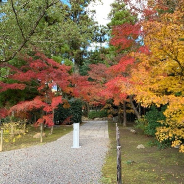メリーさんが投稿した大乗寺（愛媛県宇和島市）に関する口コミの画像