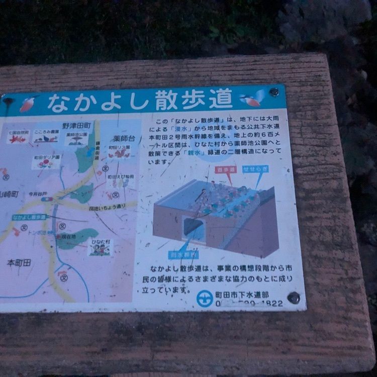 タッキーさんが投稿した町田市子ども創造キャンパスひなた村に関する口コミの画像