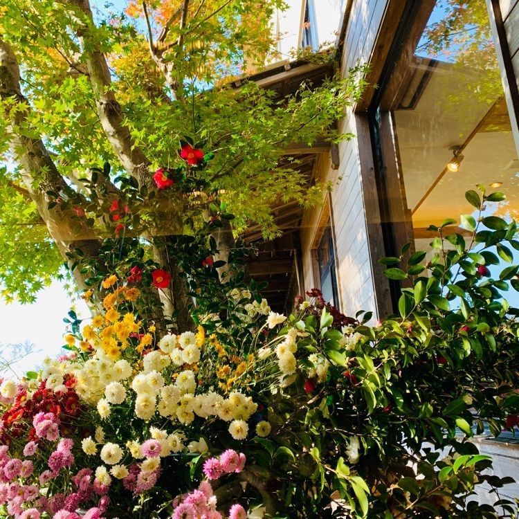 noraさんが投稿した旅行人山荘に関する口コミの画像