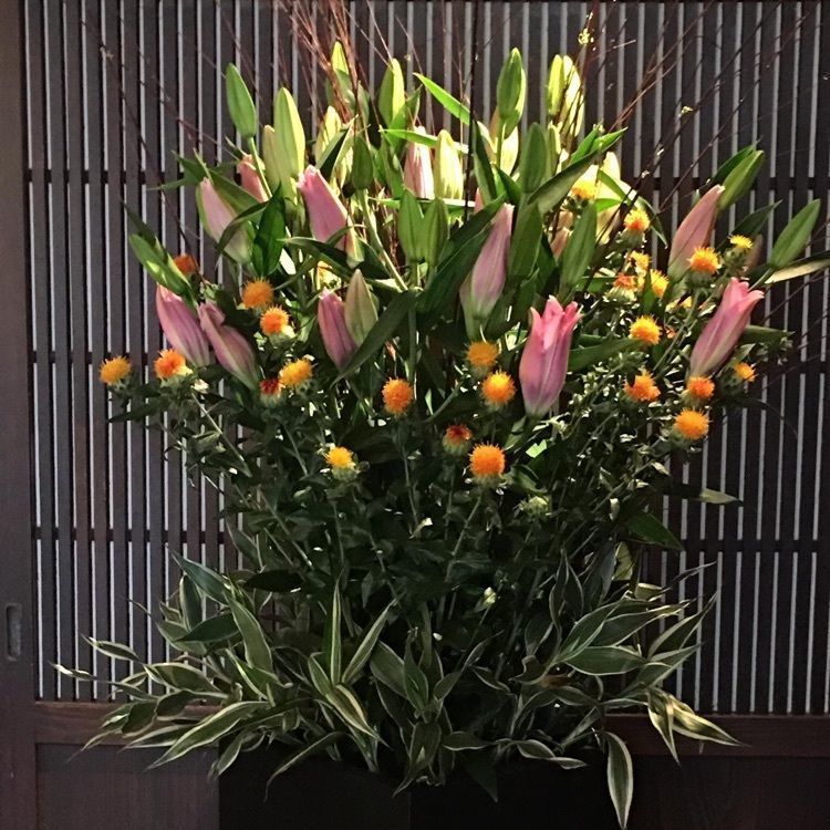 ＤＪゴン太さんが投稿した蕎麦 貴賓館に関する口コミの画像