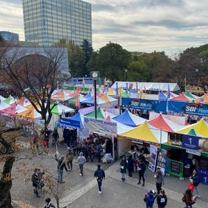 代々木公園ケヤキ並木
