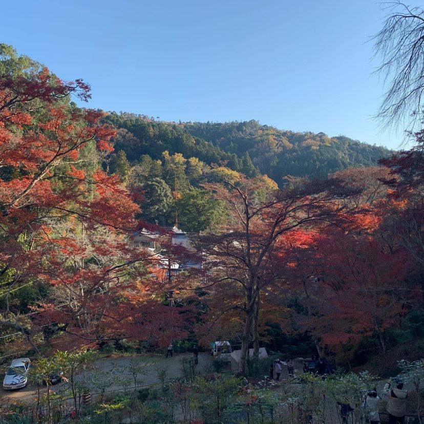 ステップさんが投稿した正暦寺のモミジに関する口コミの画像