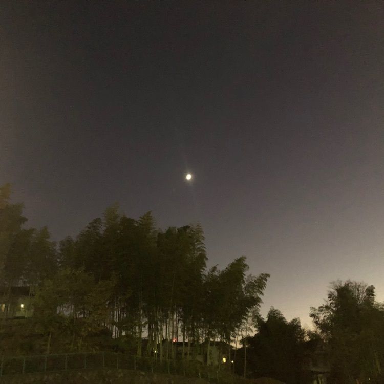 タッキーさんが投稿した霜月亭（シモツキテイ）に関する口コミの画像