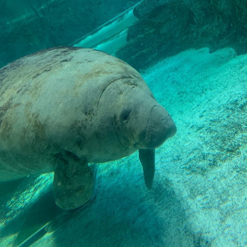 fumitoそのいちさんが投稿した新屋島水族館マリンショップに関する口コミの画像