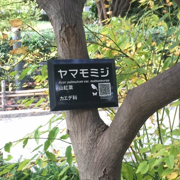 まさ吉さんが投稿したタリーズコーヒー 三井住友海上駿河台ビル店（TULLY's COFFEE）に関する口コミの画像
