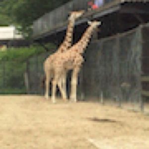 姫路セントラルパーク
