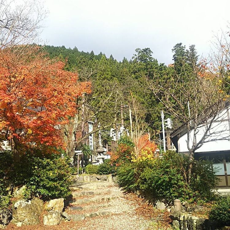 serenaさんが投稿した足湯（湯村温泉）に関する口コミの画像