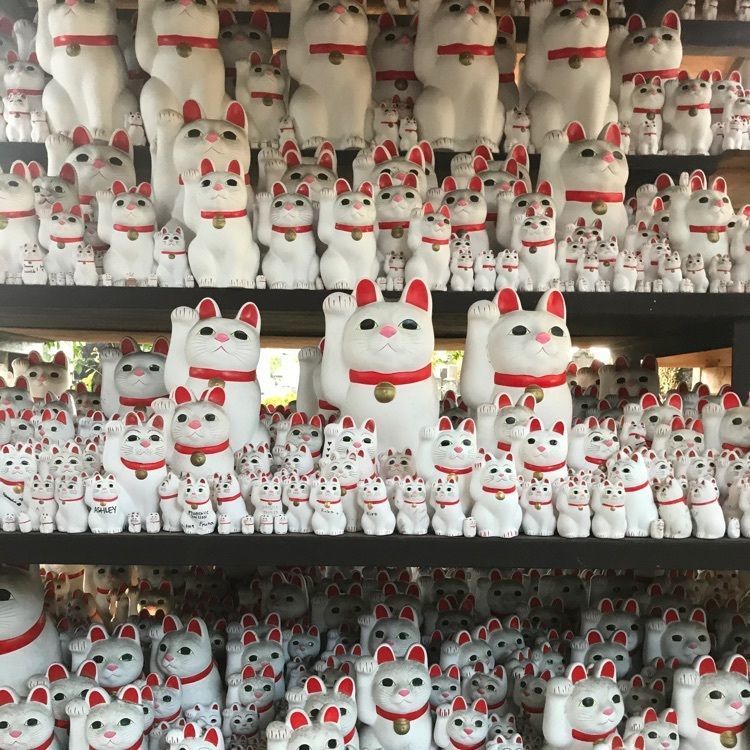 prck869さんが投稿した豪徳寺に関する口コミの画像
