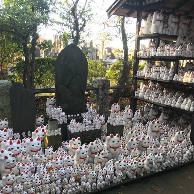 prck869さんが投稿した豪徳寺に関する口コミの画像
