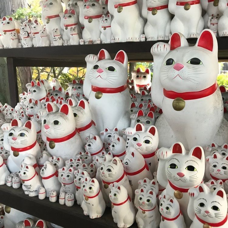 prck869さんが投稿した豪徳寺に関する口コミの画像