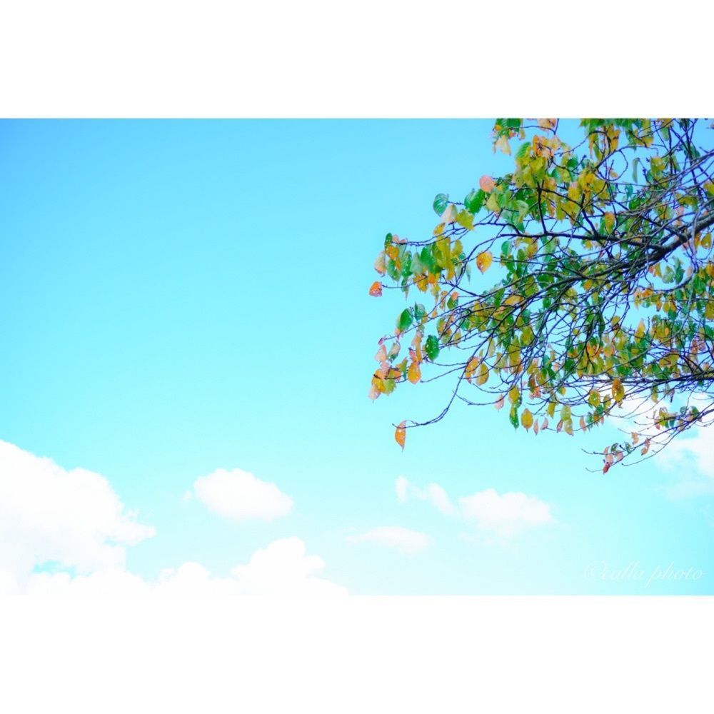 urban_garden_243aさんが投稿した葛城高原に関する口コミの画像