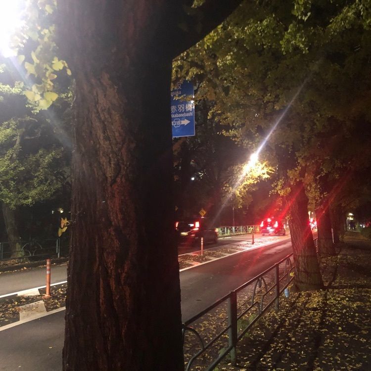タッキーさんが投稿した青山霊園に関する口コミの画像
