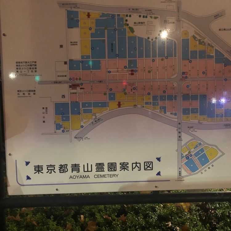 タッキーさんが投稿した青山霊園に関する口コミの画像