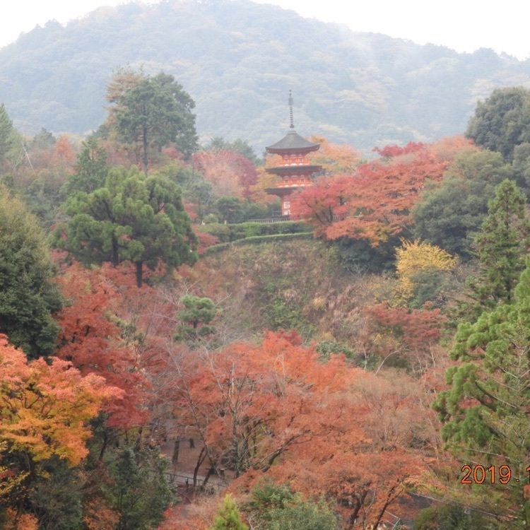 Mitsuさんが投稿した清水寺に関する口コミの画像
