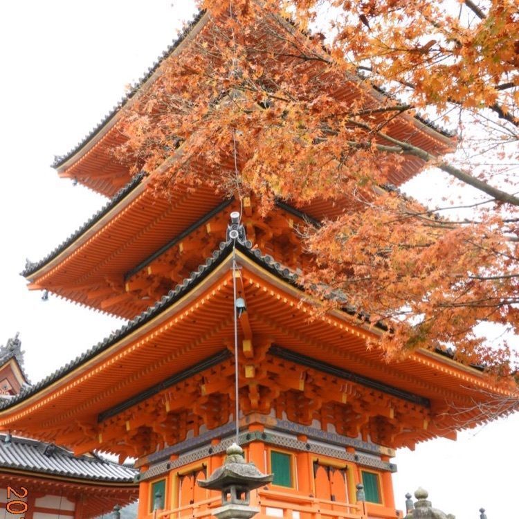 Mitsuさんが投稿した清水寺に関する口コミの画像
