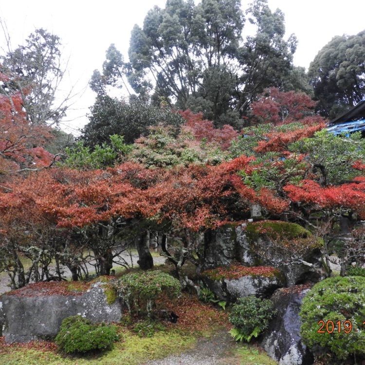Mitsuさんが投稿した醍醐寺(京都市伏見)に関する口コミの画像