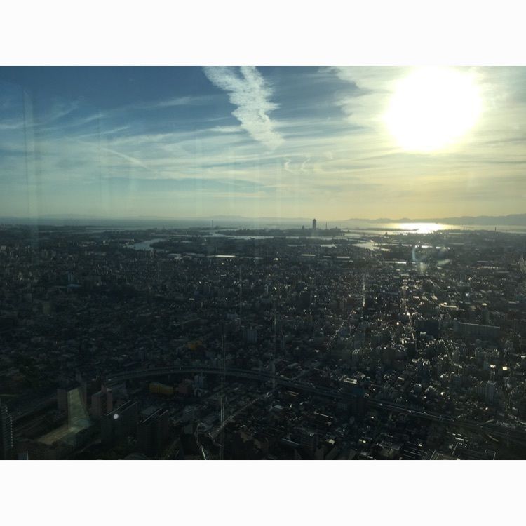 yui7toppoさんが投稿したSKY GARDEN 300（スカイガーデン 300）に関する口コミの画像