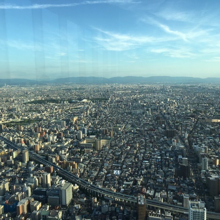 yui7toppoさんが投稿したSKY GARDEN 300（スカイガーデン 300）に関する口コミの画像
