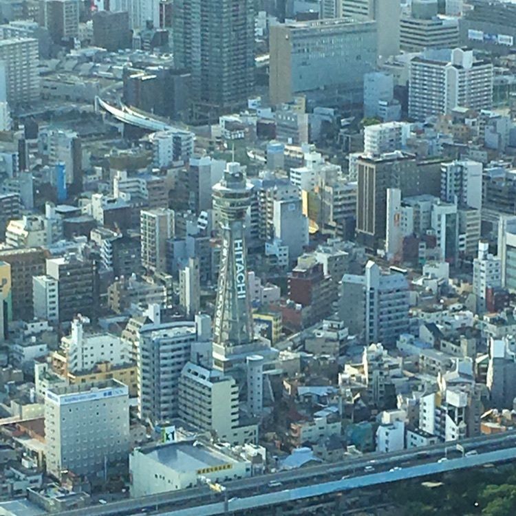 yui7toppoさんが投稿したSKY GARDEN 300（スカイガーデン 300）に関する口コミの画像