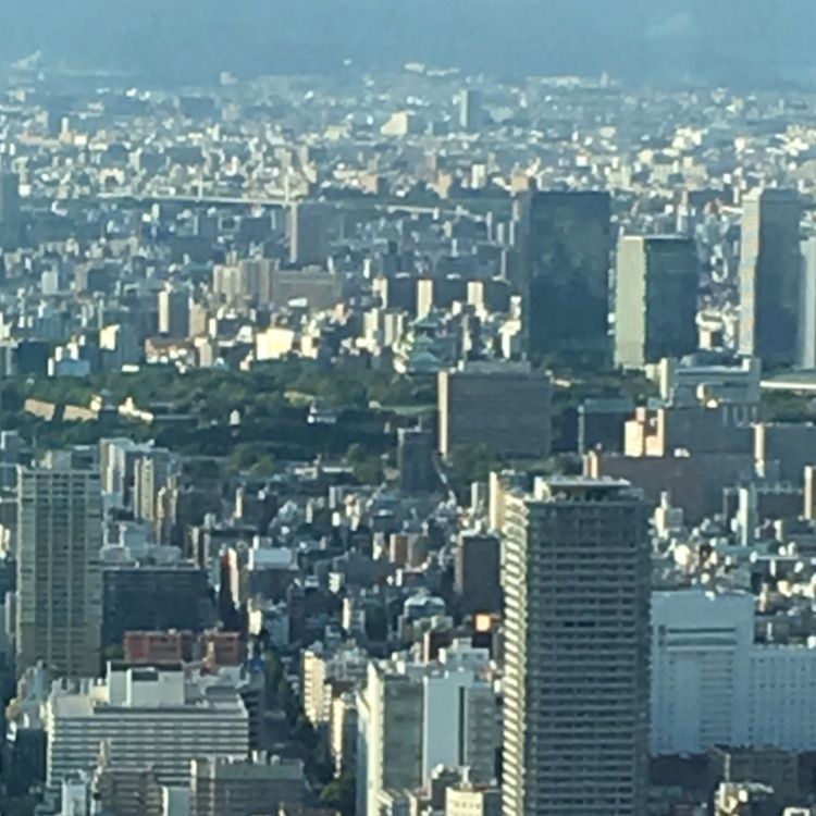 yui7toppoさんが投稿したSKY GARDEN 300（スカイガーデン 300）に関する口コミの画像