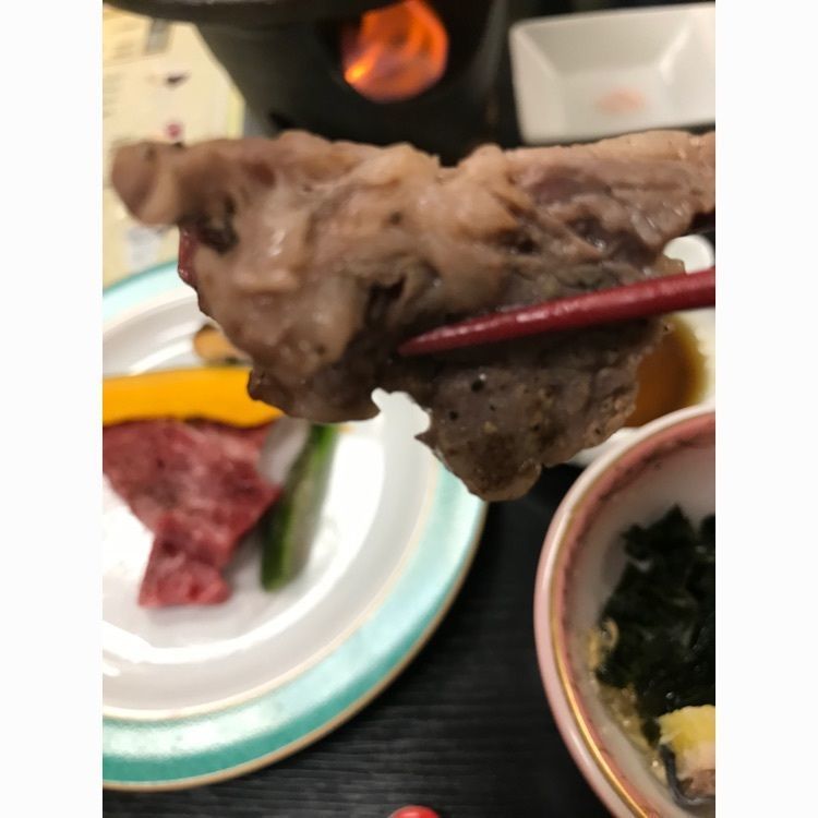Musashiさんが投稿したバリアフリーで車いすの家族旅行も安心　鈴の宿　登府屋旅館に関する口コミの画像
