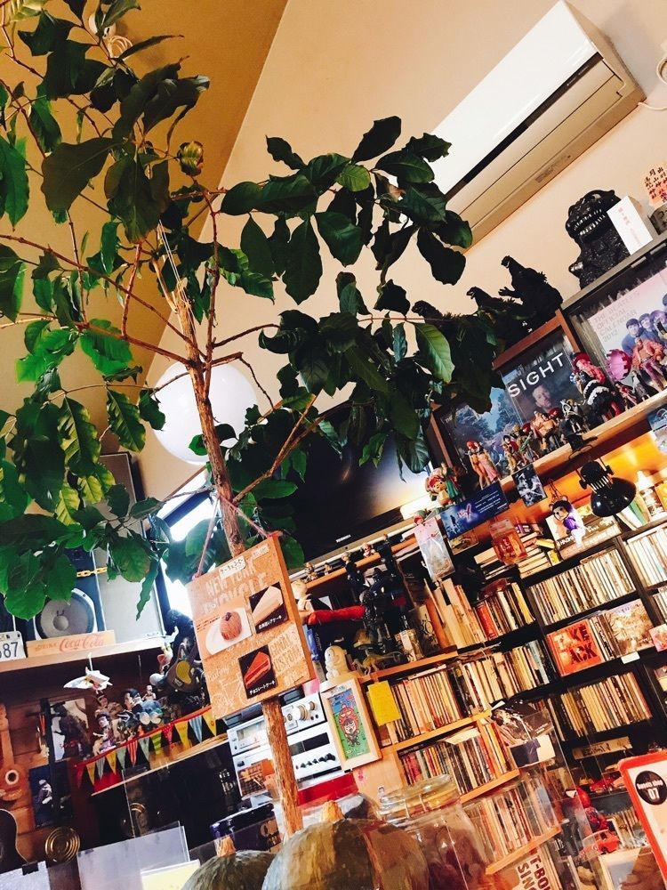 猫なぎ。さんが投稿したコーヒー屋おおもりに関する口コミの画像